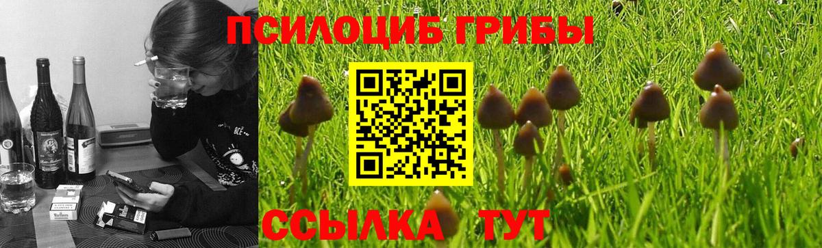Галлюциногенные грибы прущие грибы Кострома