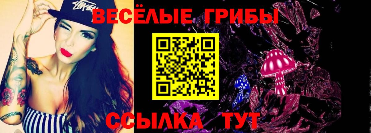 Псилоцибиновые грибы GOLDEN TEACHER  Галлюциногенные грибы ЛСД  Вход с VPN  Кострома 